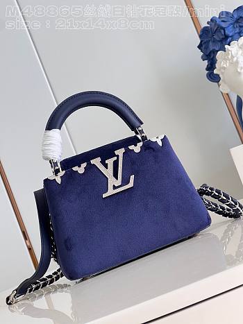 LV Capucines purple 21cm