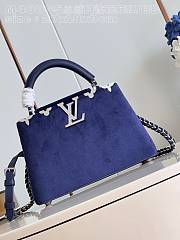 LV Capucines purple 27cm - 1