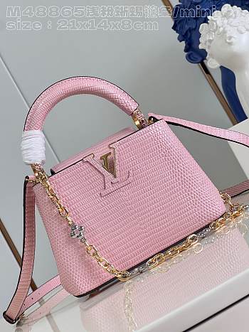LV Capucines M48865 21cm
