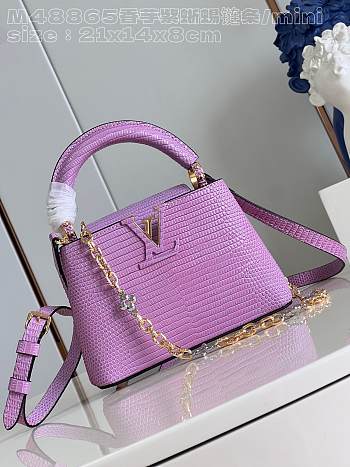 LV Capucines purple pink 21cm