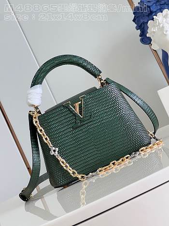 LV Capucines 003 21cm
