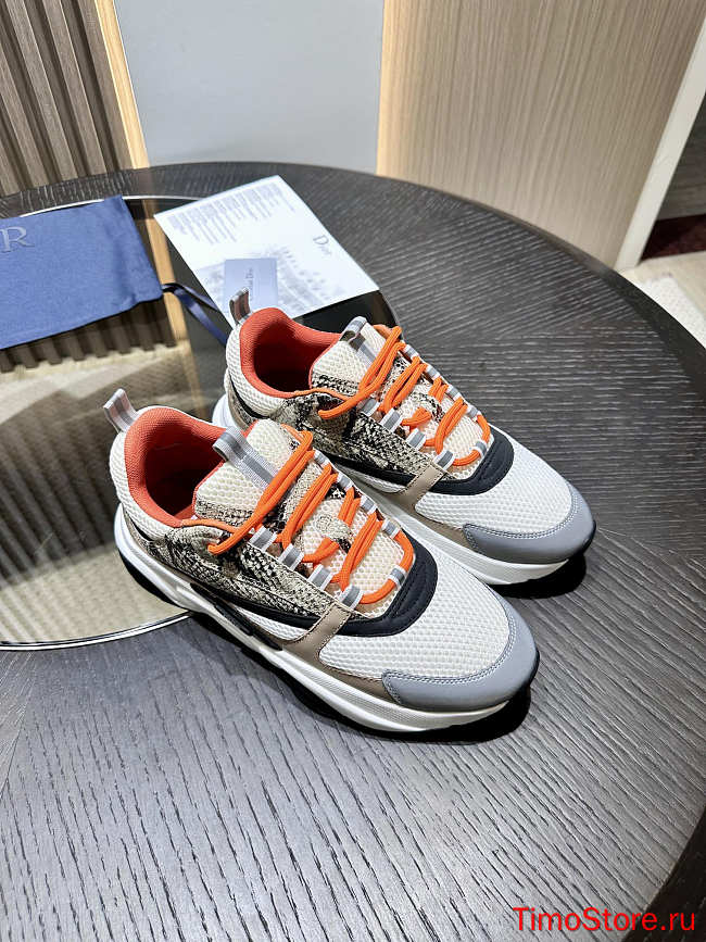 dior sneaker - 1