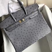 hermes Birkin Bag Ostrich Leather grey 30cm - 2