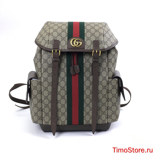 gucci backpack 24*40*16cm （too big no gift box） - 1