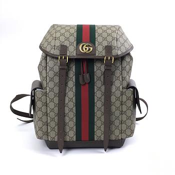 gucci backpack 24*40*16cm （too big no gift box）