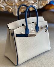 hermes Birkin Goatskin Pearl Gray and 7A Bleu Thalassa 25cm - 5