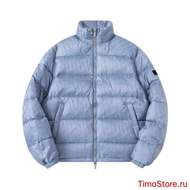 dior down jacket 005 - 1