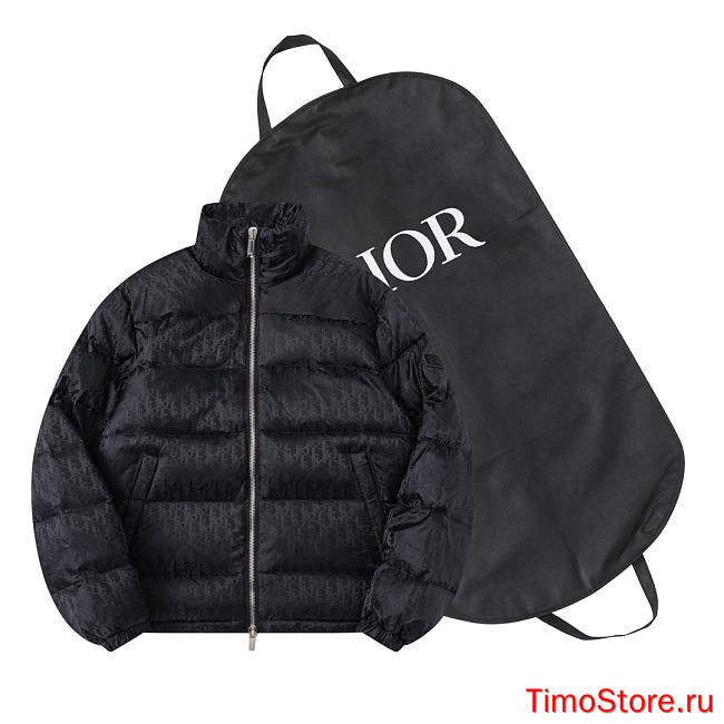 dior down jacket 009 - 1