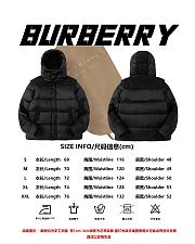 Burberry down jacket 002 - 2