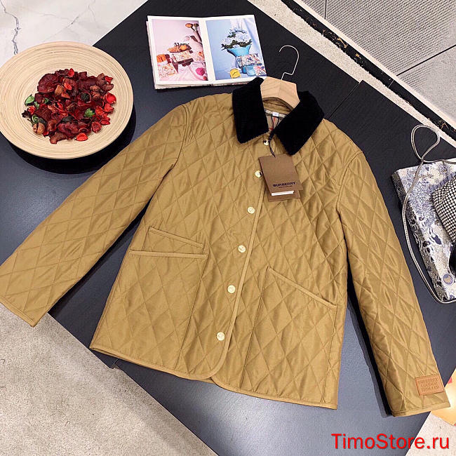 Burberry down jacket 007 - 1