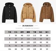 Burberry down jacket 008 - 2