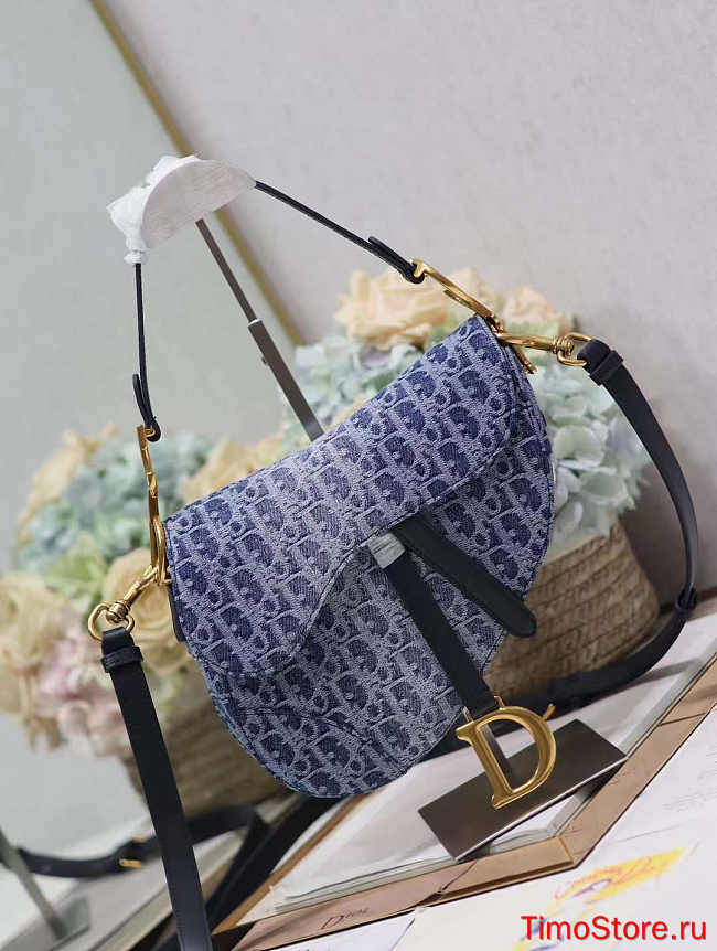 dior saddle 25.5cm 001 - 1