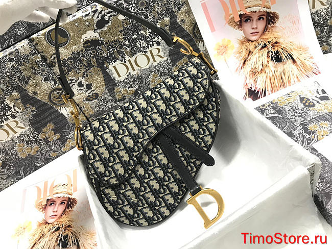 dior saddle 25.5cm 002 - 1