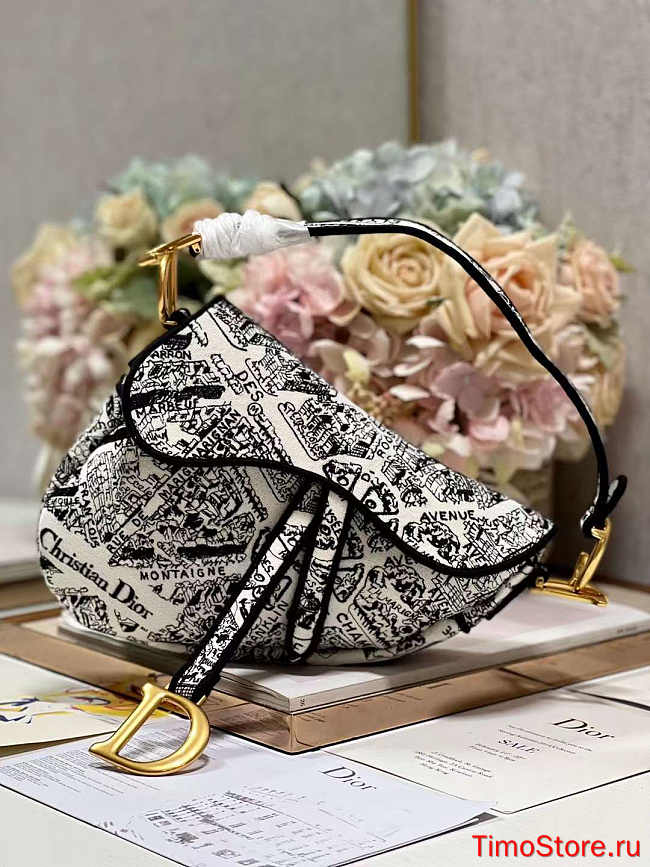 dior saddle 25.5cm 005 - 1