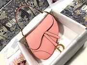 dior saddle 25.5cm 006 - 1