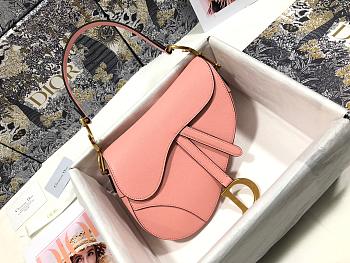 dior saddle 25.5cm 006