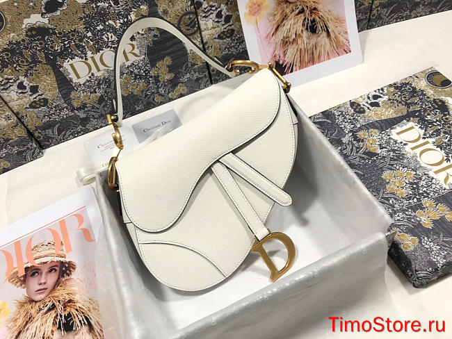 dior saddle 25.5cm 007 - 1