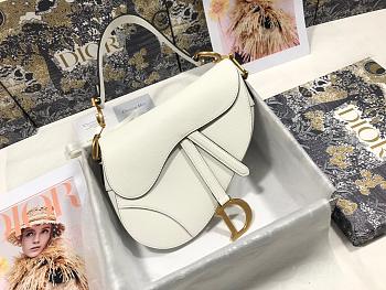 dior saddle 25.5cm 007