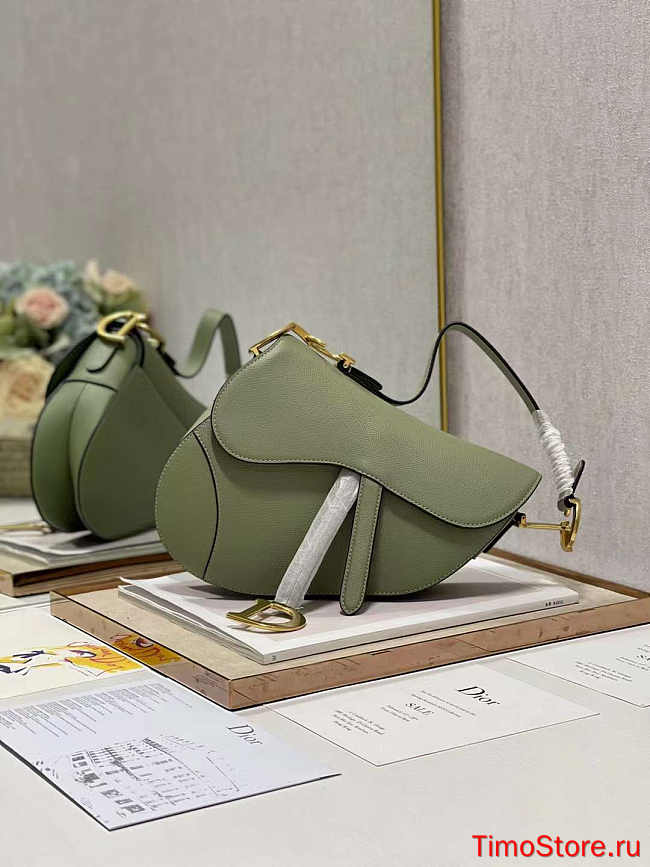 dior saddle 25.5cm 012 - 1