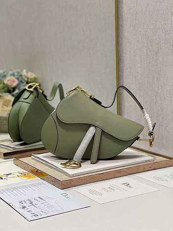 dior saddle 25.5cm 012