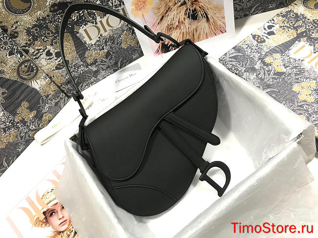 dior saddle 25.5cm 013 - 1