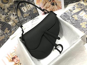 dior saddle 25.5cm 013