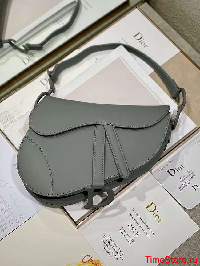 dior saddle 25.5cm 015 - 1