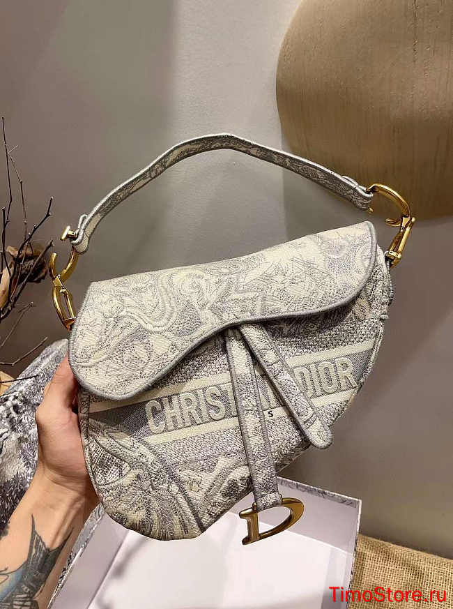 dior saddle 25.5cm 016 - 1