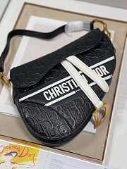 dior saddle 25.5cm 017 - 3