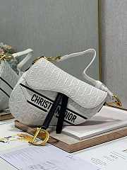 dior saddle 25.5cm 018 - 1