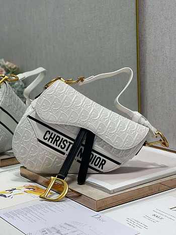 dior saddle 25.5cm 018