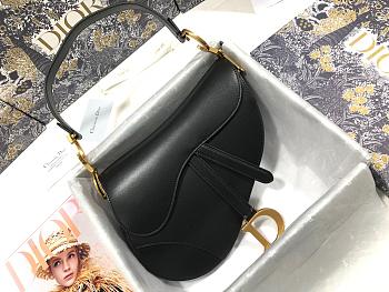 dior saddle 25.5cm 019