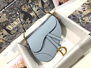 dior saddle 25.5cm 020 - 1