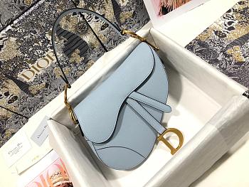 dior saddle 25.5cm 020