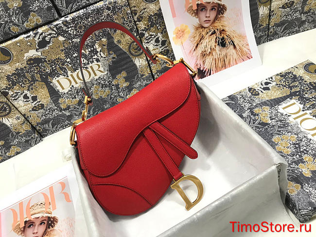 dior saddle 25.5cm 022 - 1