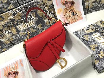 dior saddle 25.5cm 022