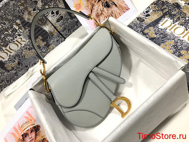 dior saddle 25.5cm 023 - 1