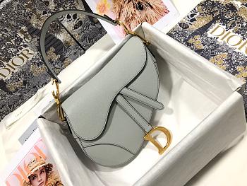 dior saddle 25.5cm 023