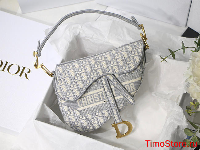 dior saddle 25.5cm 024 - 1