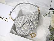 dior saddle 25.5cm 024 - 1