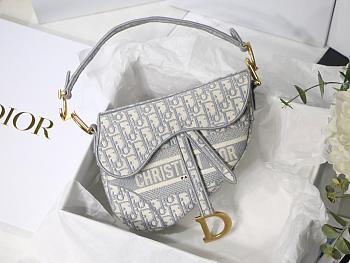 dior saddle 25.5cm 024