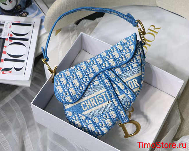dior saddle 25.5cm 025 - 1