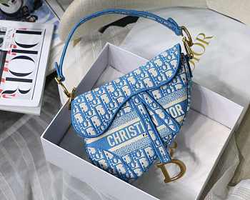 dior saddle 25.5cm 025