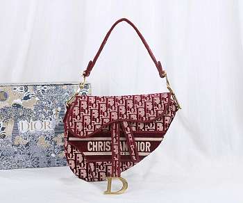 dior saddle 25.5cm 028