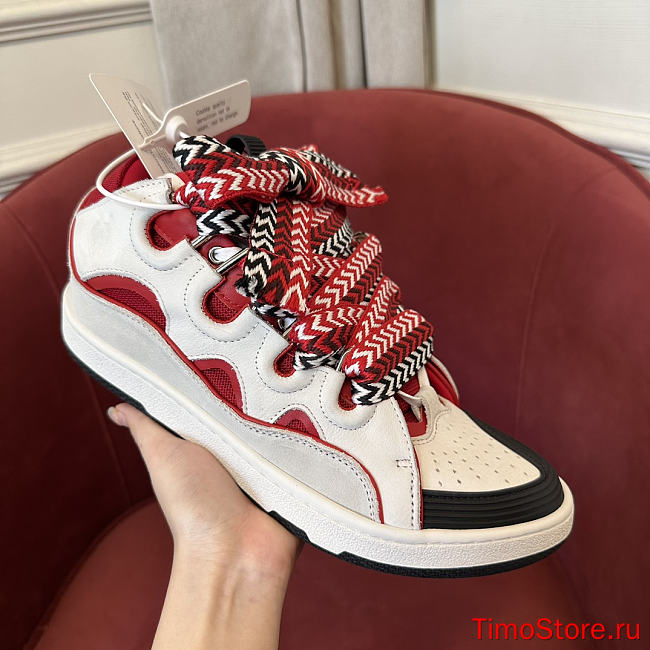 Lanvin shoes 17 - 1