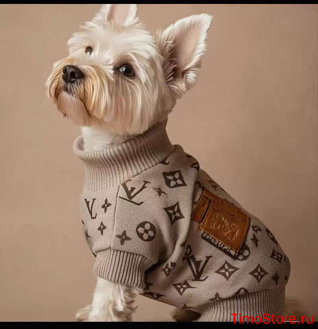 dogs clothes for Standard quality (please do not purchase if you mind)-1 - 1