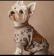 dogs clothes for Standard quality (please do not purchase if you mind)-1 - 1