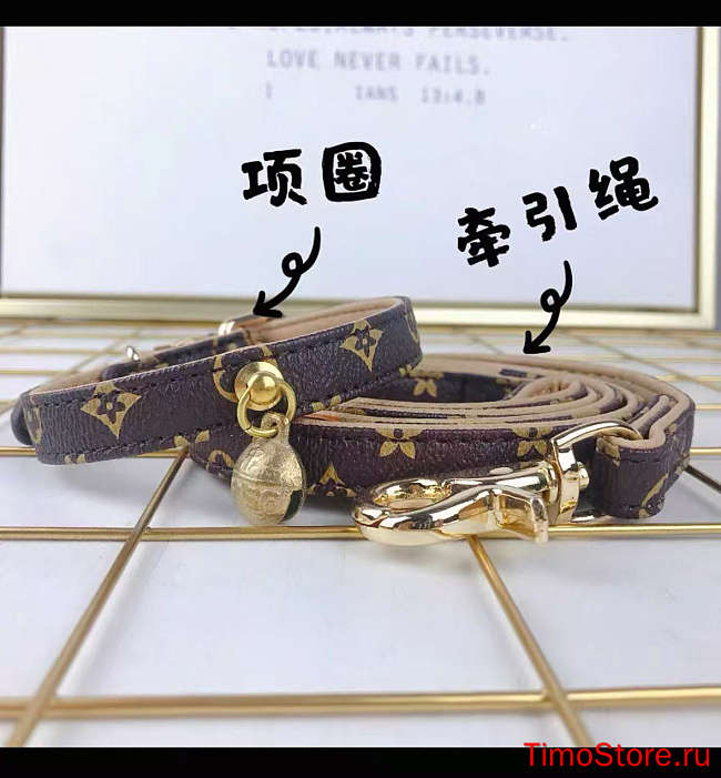 dogs set of collar and the carrier for Standard quality (please do not purchase if you mind)-1 - 1