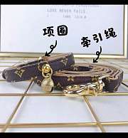dogs set of collar and the carrier for Standard quality (please do not purchase if you mind)-1 - 1
