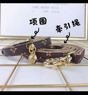 dogs set of collar and the carrier for Standard quality (please do not purchase if you mind)-1
